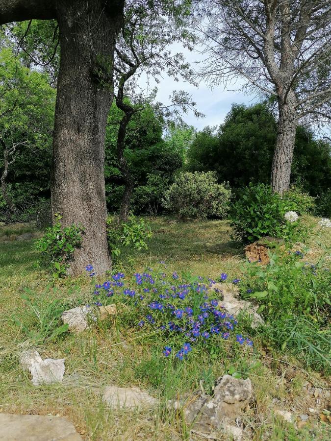 Les Romarins Villa Saint-Jean-de-Minervois Buitenkant foto