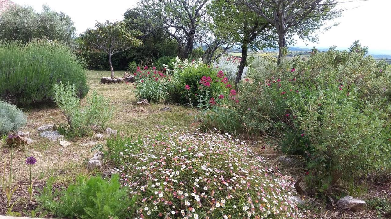 Les Romarins Villa Saint-Jean-de-Minervois Buitenkant foto
